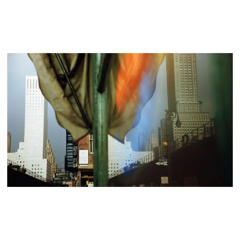 Ernst Haas