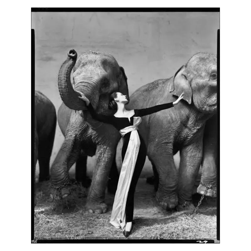 Richard Avedon