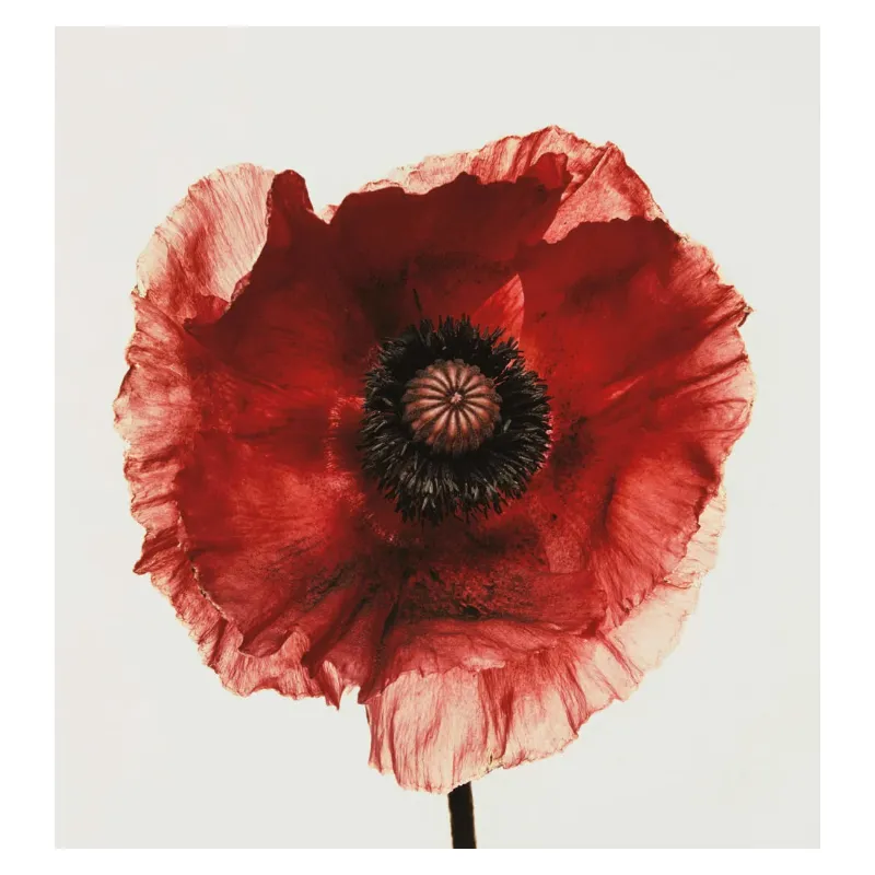 Irving Penn