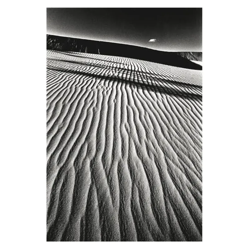 Jeanloup Sieff