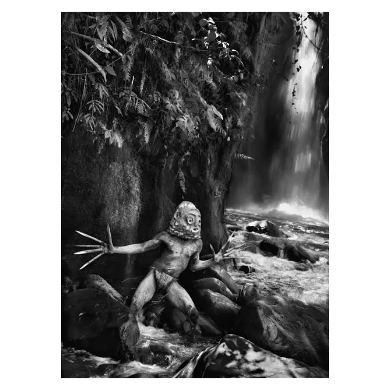 Sebastião Salgado