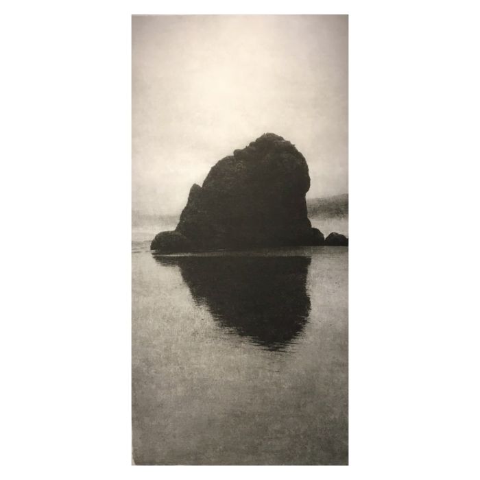 Paysage panoramique de Jungjin Lee, tirage au grain et à la texture marqués par le papier de mûrier et les gestes du pinceau.