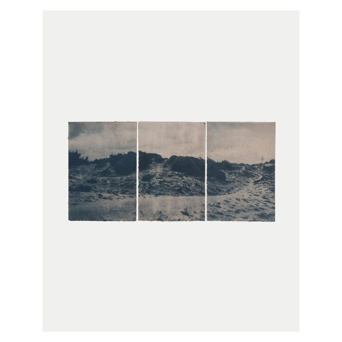 Cyanotype de Marco Rapaccini, paysage littoral en bleu de Prusse.