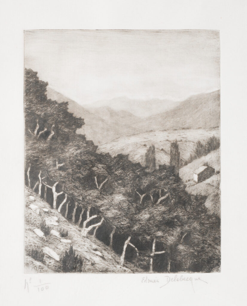 edmee pauline delebecque, lithographie numéroté des alentours de Dieulefit