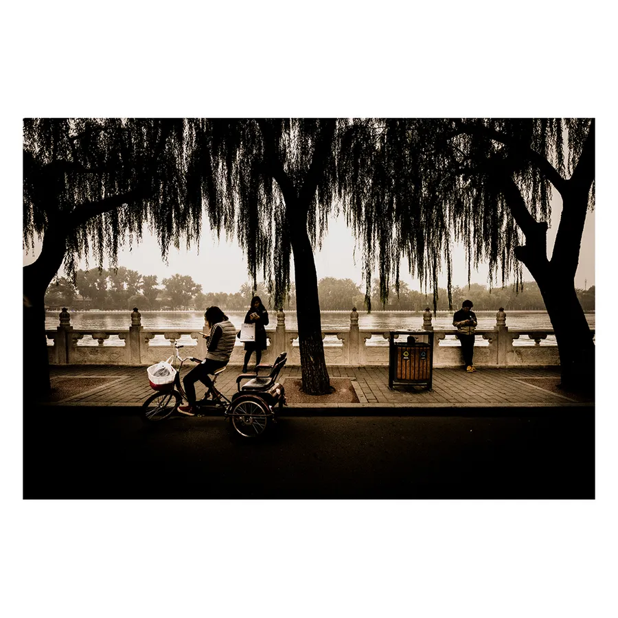 Contraste inattendu entre palmiers et architecture pékinoise au bord du lac des Hutongs et 3 personnes sur leur téléphone portable, créant une dimension onirique particulière.