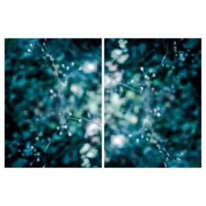 Photographie artistique macro de petites tiges végétales avec bokeh bleuté en arrière-plan, tirage d’art nature réalisé à Dieulefit dans la Drôme, pour décoration murale contemporaine.