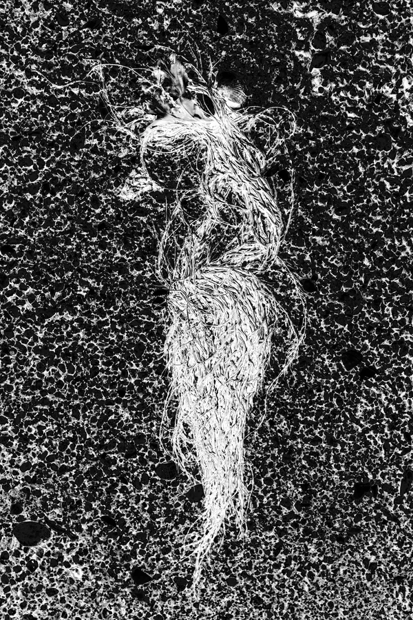 Algue filamenteuse enchevêtrée, brillante, plaquée sur une roche volcanique sombre et poreuse ; amas de filaments à droite, traces d’eau/écume en nappes, textures granuleuses et rendu très contrasté, presque abstrait.