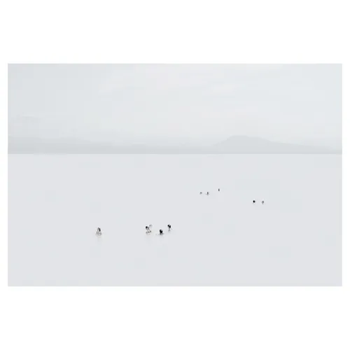 Photographie high-key en plan très large : petits groupes de nageurs alignés dans une mer laiteuse, horizon net et reliefs montagneux diffus au loin, composition minimaliste centrée sur l’espace et la profondeur esthétique.