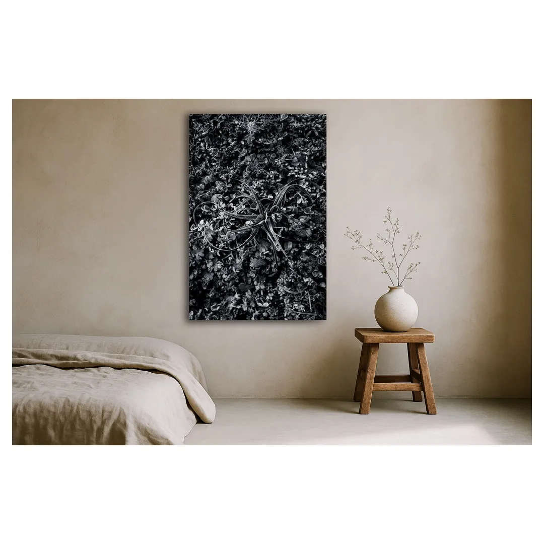 Mockup de photographie d’art végétale en noir et blanc de la série “Végétation hivernale – Givre”, intitulée “Rosette végétale givrée”, composition botanique verticale centrée sur une rosette de tiges glacées au milieu d’un tapis végétal texturé, tirage fine art en édition limitée réalisé à Bordeaux, encadré et accroché sur un mur sable mat dans une chambre wabi-sabi épurée, avec lit en lin beige, tabouret en bois brut et vase céramique, suggestion de décoration murale contemporaine et apaisante pour intérieur chic sur le bassin d’Arcachon.