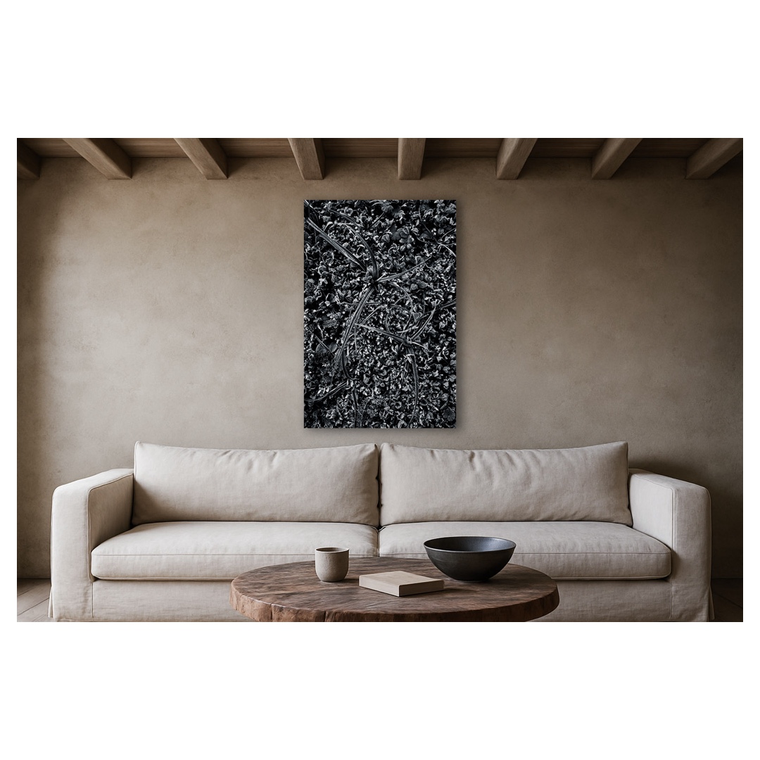 Mockup de photographie d’art végétale en noir et blanc de la série “Végétation hivernale – Givre”, intitulée “Entrelacs végétaux givrés”, composition botanique verticale aux tiges enchevêtrées et feuillages gelés, tirage fine art en édition limitée réalisé à Bordeaux, encadré et accroché sur un mur sable minéral dans un salon wabi-sabi méditerranéen avec poutres apparentes, grand canapé en lin écru et table basse en bois brut, suggestion de décoration murale contemporaine et apaisée pour intérieur chic sur le bassin d’Arcachon.