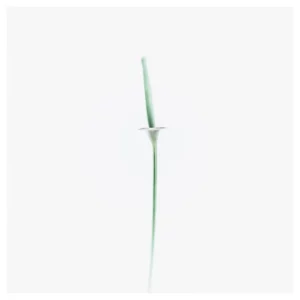 Photographie d’art végétale en style High Key représentant une tige filiforme minimaliste sur fond blanc, réalisée à Saint-Nazaire, tirage photo fine art signé et numéroté par le photographe Nicolas Louis, idéale pour une décoration murale contemporaine dans un intérieur à Paris.