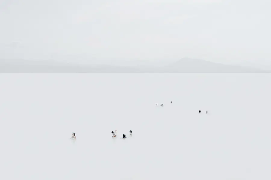 Photographie high-key en plan très large : petits groupes de nageurs alignés dans une mer laiteuse à Biarritz, horizon net et reliefs montagneux diffus au loin, composition minimaliste centrée sur l’espace et la profondeur esthétique.