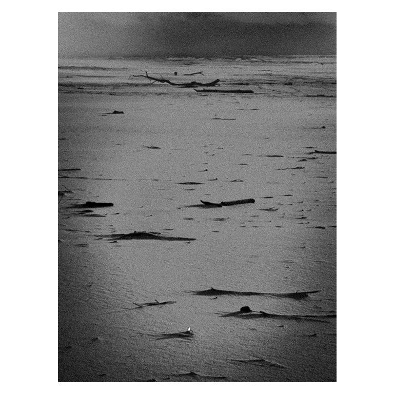 Plage à marée basse en noir et blanc en Gironde : sable ridé parsemé d’algues et bois flottés, et un horizon brumeux, pour un exhibition visuelle très graphique.