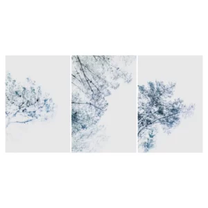 Triptyque photo d’art représentant des branches d’arbres sur ciel clair, série artistique High Key réalisée à Belle-Île-en-Mer, tirage photo fine art signé et numéroté par le photographe Nicolas Louis, idéale en décoration murale contemporaine pour un intérieur à Paris.