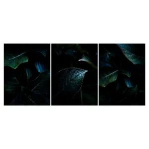 Trois vues complémentaires d’un feuillage de rhododendron en clair-obscur. La lumière révèle les nervures et un liseré lumineux, palette verte profond/bleu-noir. Ensemble graphique, apaisant et élégant, réalisé à Bayonne.