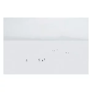 Photographie high-key en plan très large : petits groupes de nageurs alignés dans une mer laiteuse, horizon net et reliefs montagneux diffus au loin, composition minimaliste centrée sur l’espace et la profondeur esthétique, réalisée à Biarritz, par Nicolas Louis