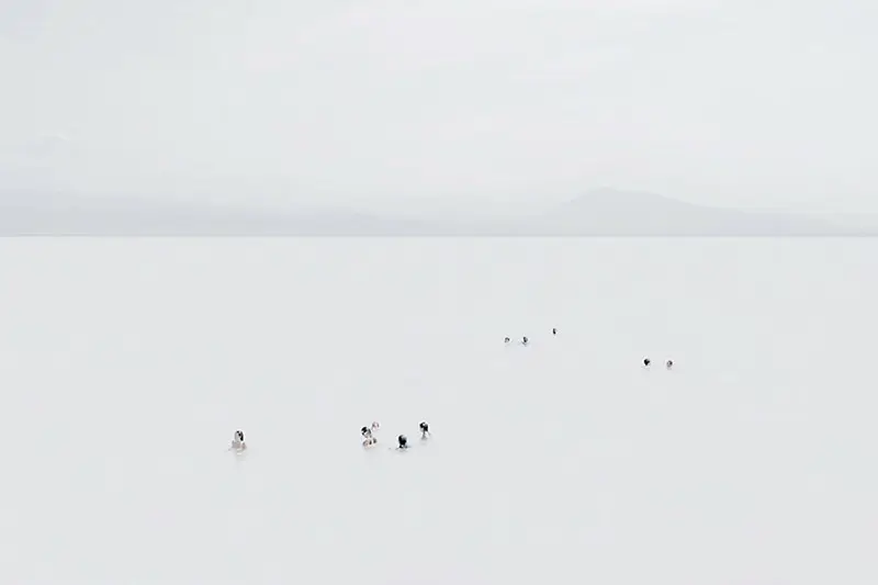 Photographie de la série photo Mar Corpus, en high-key et plan très large : petits groupes de nageurs alignés dans une mer laiteuse, horizon net et reliefs montagneux diffus au loin, composition minimaliste centrée sur l’espace et la profondeur esthétique, réalisée à Biarritz, par Nicolas Louis