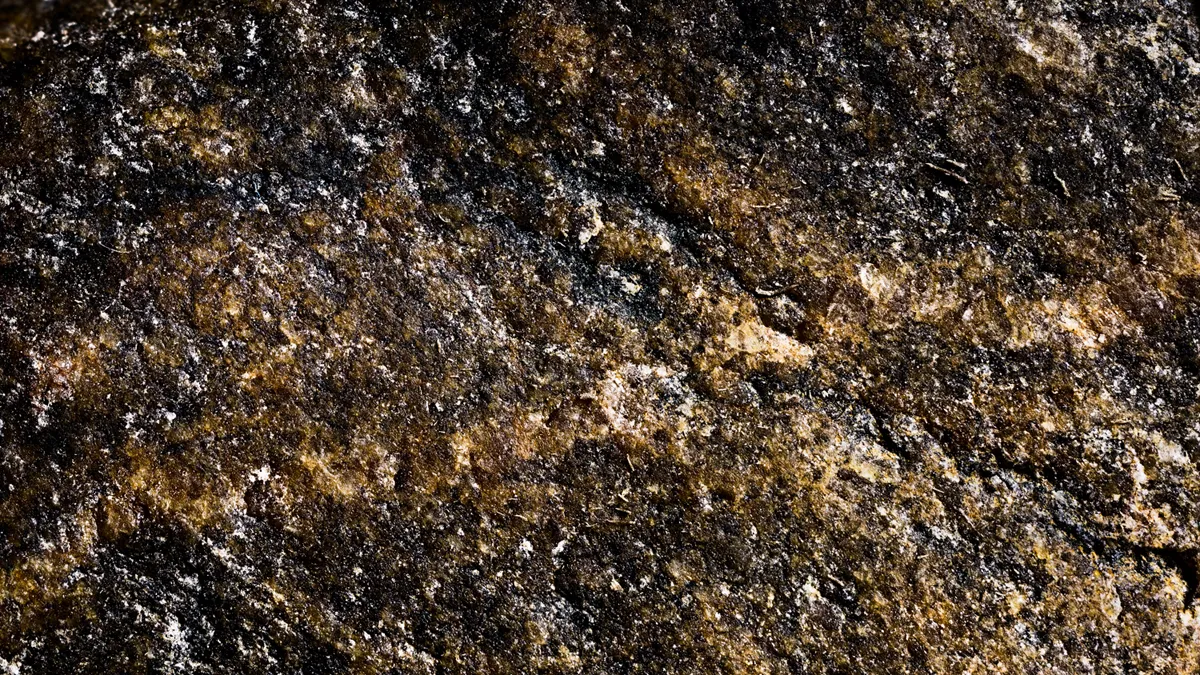 Photographie macro de studio détaillée d'une pierre texturée et granuleuse d'un noir profond, caractérisée par une bande centrale d'inclusions minérales texturées et granuleuses d'un brun-doré chaud qui s'étend sur la surface texturée.