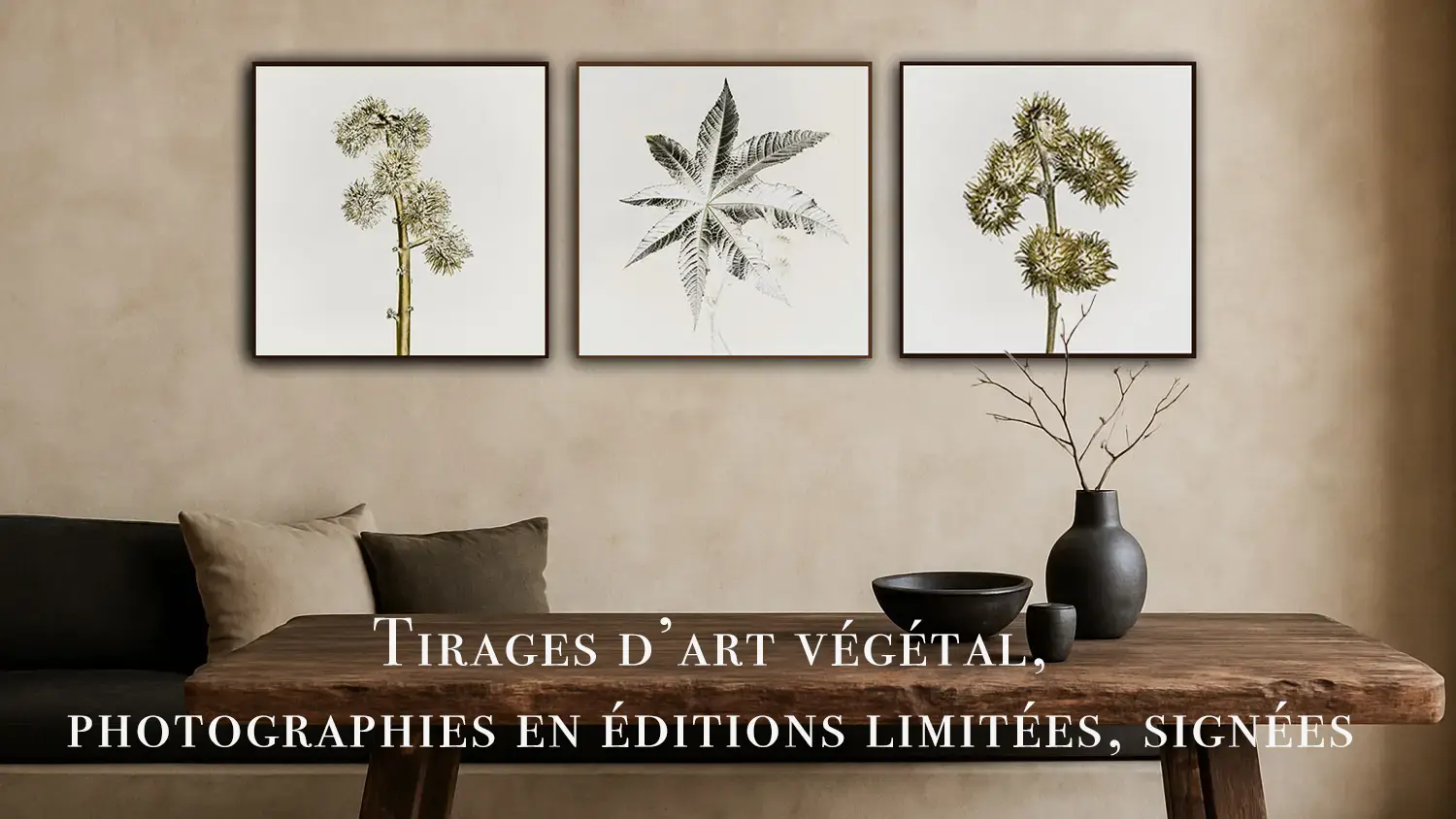 Triptyque de tirages d'art photographiques botaniques sur fond blanc accroché au-dessus d'une table en bois brut dans une déco wabi-sabi. Boutique de tirages Nicolas Louis