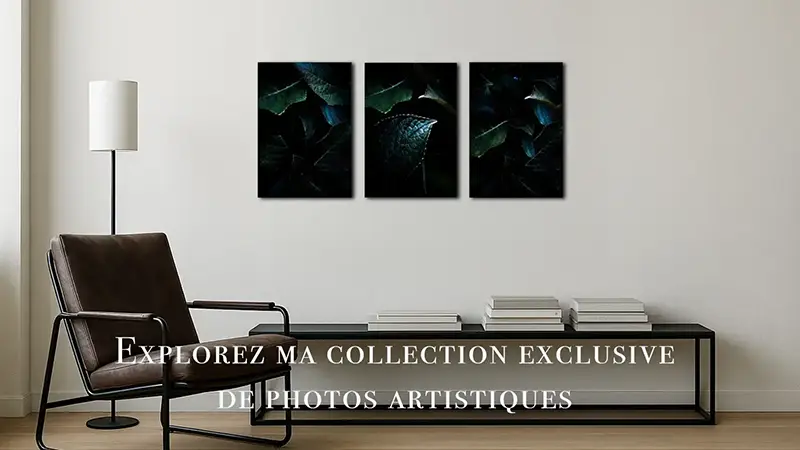 Triptyque de tirages d'art photographiques de feuillage sombre aux reflets vert et bleu accroché au-dessus d'un meuble bas dans un intérieur design. Boutique de tirages Nicolas Louis