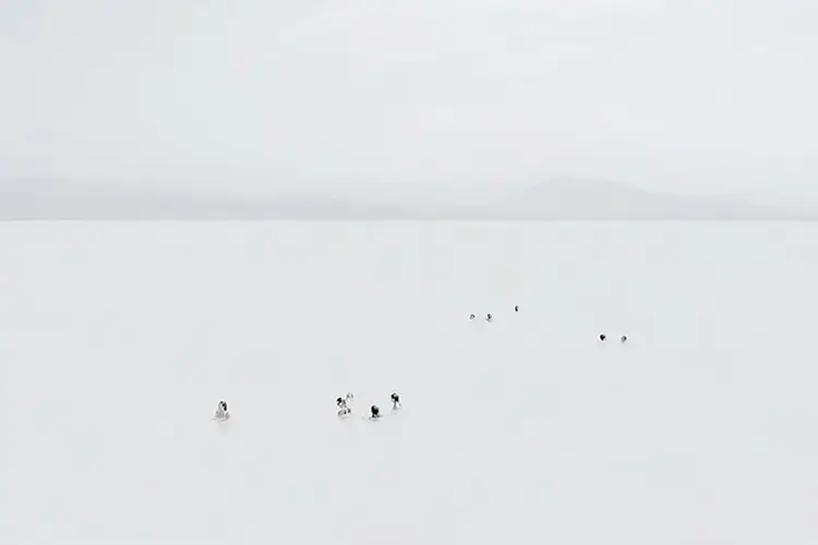 Photographie de la série photo Mar Corpus, en high-key et plan très large : petits groupes de nageurs alignés dans une mer laiteuse, horizon net et reliefs montagneux diffus au loin, composition minimaliste centrée sur l’espace et la profondeur esthétique, réalisée à Biarritz, par Nicolas Louis
