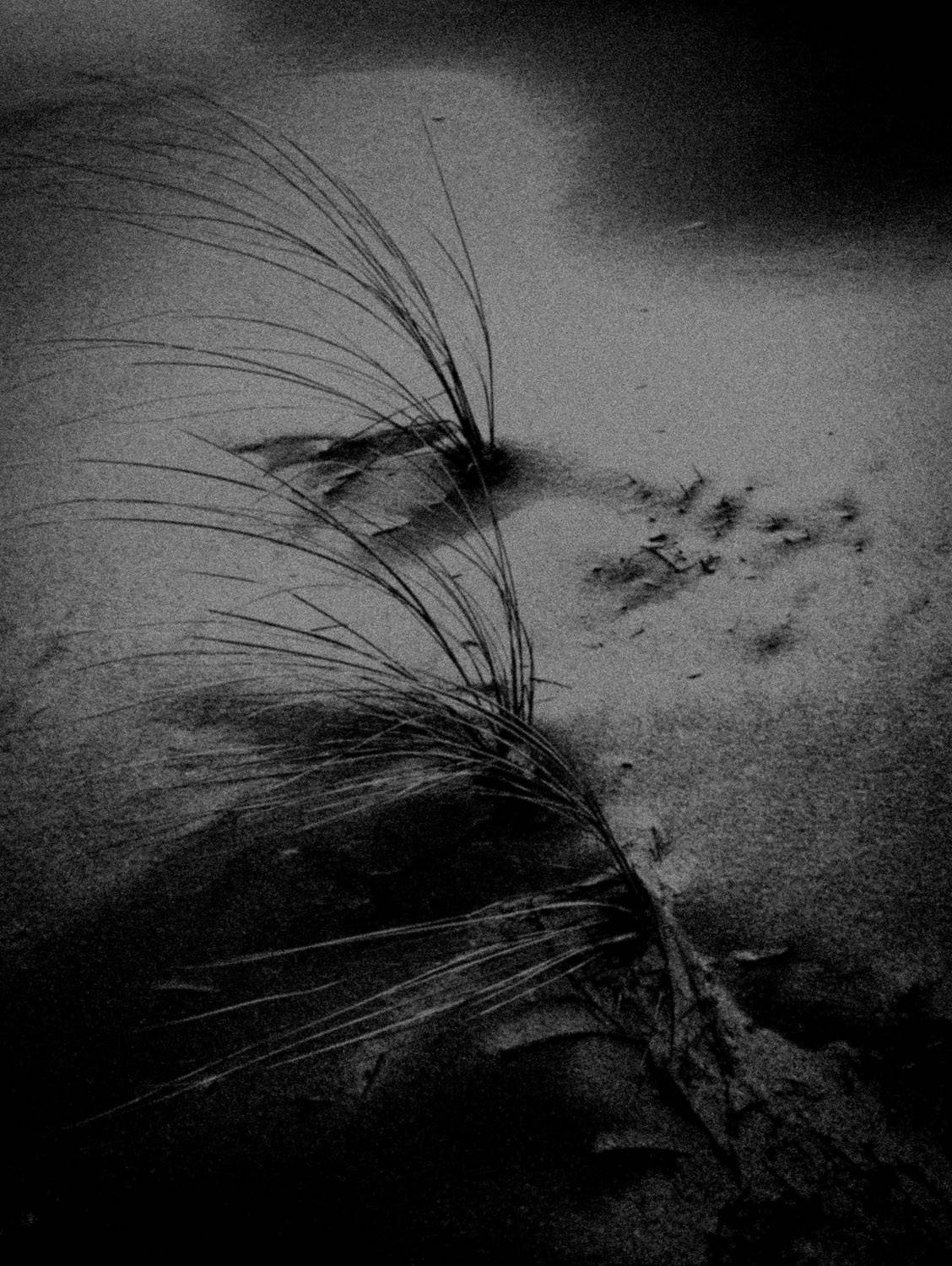 Photographie artistique en noir et blanc d’un paysage cotier désert, avec ciel nuageux et plage balayee par le vent. Style granuleux et minimaliste, evoquant la solitude, le silence et la poesie du littoral.