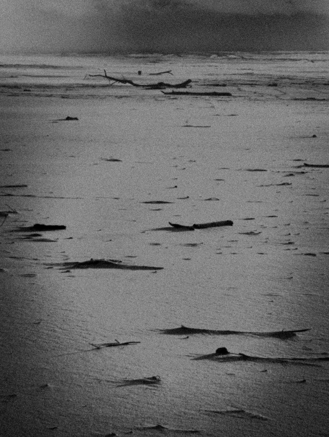 Photographie artistique en noir et blanc d’un paysage cotier désert, avec ciel nuageux et plage balayee par le vent. Style granuleux et minimaliste, evoquant la solitude, le silence et la poesie du littoral.